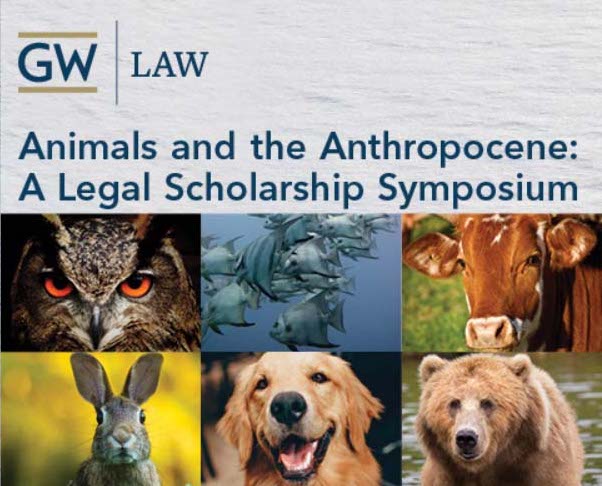 Animals and the Anthropocene: A Legal Scholarship Symposium